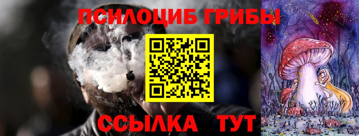 Псилоцибиновые грибы прущие грибы Барнаул