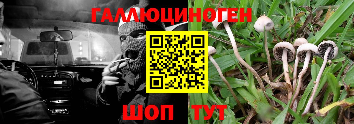 Псилоцибиновые грибы мицелий  Псилоцибиновые грибы ЛСД  Вход с VPN  Барнаул 